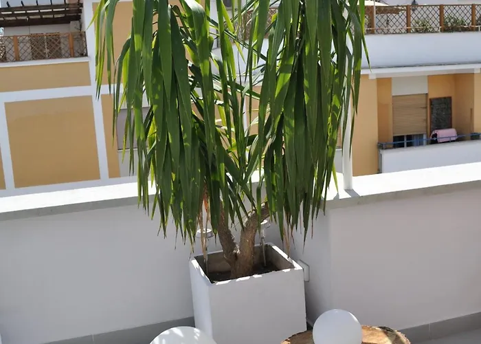 בית הארחה Glamroom Luxury Terrace